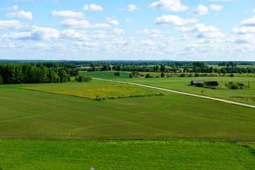 green cultivated fields in countryside