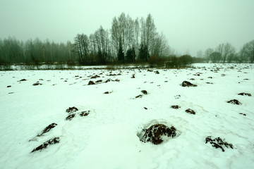 mole camuflage molehill pattern in the field with snow and mist