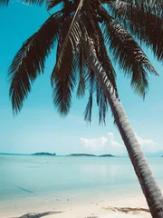 Tuinposter Lichtblauw kokospalmen instagram filter