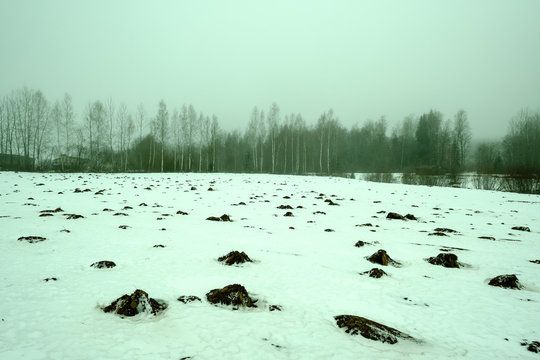 Mole Camuflage Molehill Pattern In The Field With Snow And Mist