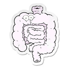 distressed sticker of a cartoon surprised intestines