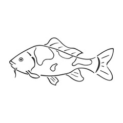 Japanese carp koi character abstract ink hand drawn vector logo cartoon. Retro illustration. Freshwater river and pond asian fish curve paint sign. Doodle sketch. Element for design, fabric print.