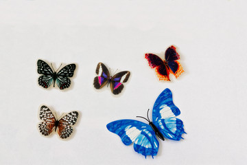 A set of different decorative butterflies.