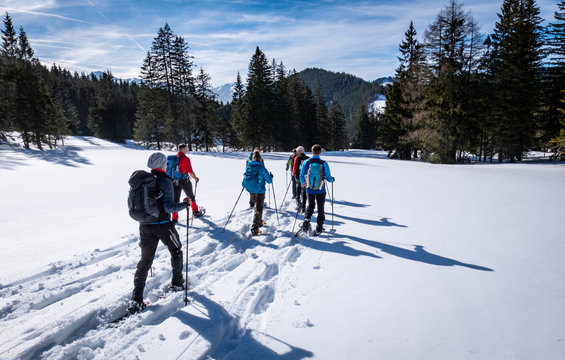 Adults snowshoeing thruogh forest in Kaiserau with mountain Rottenmanner Tauern