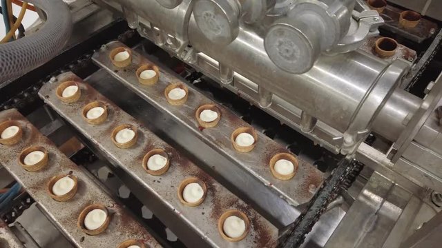 Milk Canning Plant. Manufacturing of Glazed Sweet Curd Bars and Wafer Cones