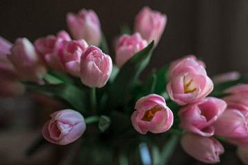 Fototapeta premium A bouquet of spring beautiful flowers. Fresh Pink tulips.