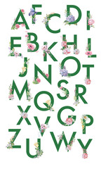 watercolor illustration for design layout