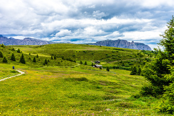 Alpe di Siusi, Seiser Alm with Sassolungo Langkofel Dolomite, a group of people standing on a lush green field