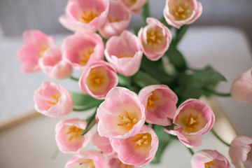 Naklejka na ściany i meble A bouquet of spring beautiful flowers. Fresh Pink tulips. Flowers background. Top view.
