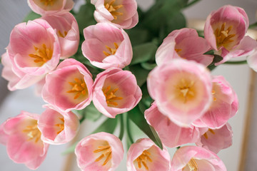 A bouquet of spring beautiful flowers. Fresh Pink tulips. Flowers background. Top view.