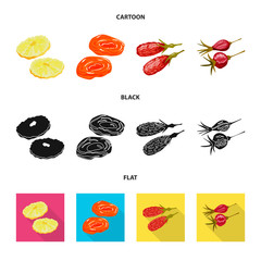 Vector illustration of food  and raw  sign. Set of food  and nature   stock vector illustration.