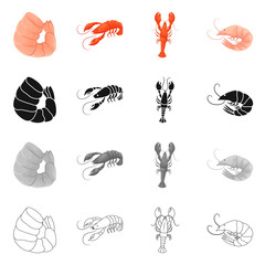 Vector illustration of appetizer and ocean sign. Set of appetizer and delicacy stock vector illustration.