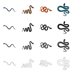 Vector illustration of mammal and danger icon. Collection of mammal and medicine stock vector illustration.