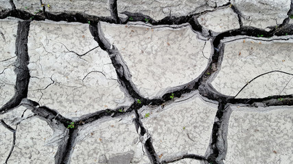 Dry gray cracked earth or clay desert textured background, closeup.