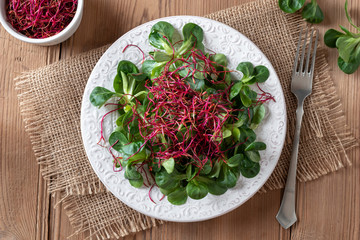Salad with lamb's lettuce and red beet sprouts