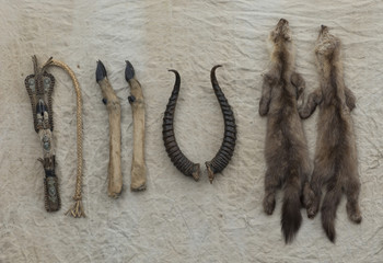 horns, hooves,fur skins of animals,whip,poaching