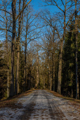 Snowy path with leaf trees near Rozmberk pond in winter sunny day
