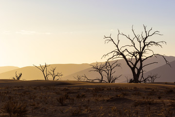 Naklejka na ściany i meble Sunset in Sossusvlei, Namibia 