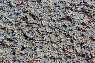 Salt pan in Namibian Desert 