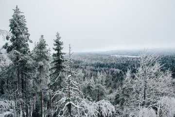 Winter in Finland