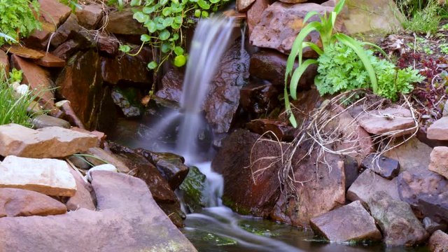 Time lapse and time-exposure of a freshwater pond.