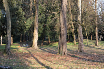 Parco pubblico di Monza città in Italia, Public park in monza city in Italy	