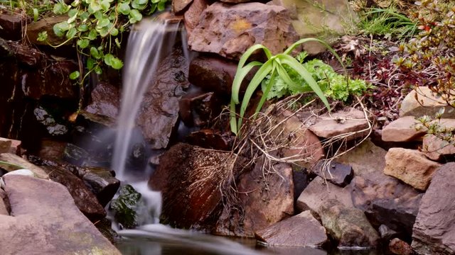 Time lapse and time-exposure of a freshwater pond.
