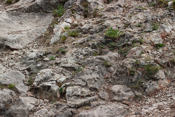 Mountain stone trail. Steep mountainside with rare green grass. Summer natural background for hiking with copy space