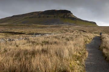 Penyghent Yorkshire dales