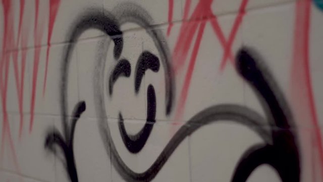 120 fps slow motion shot of random graffi
