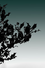 Naklejka premium Holly tree abstract outline