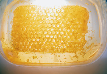 honey in honeycomb close-up background