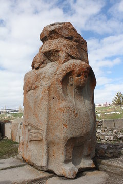  lion door