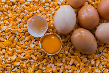 eggs and yellow corn