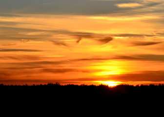 Beautiful view to the sunset under the forest