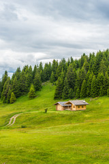 Alpe di Siusi, Seiser Alm with Sassolungo Langkofel Dolomite, a close up of a lush green field with queer house