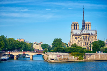 cathedral notre dame