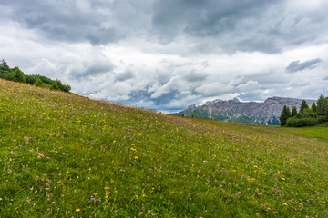 Fototapeta na wymiar Alpe di Siusi, Seiser Alm with Sassolungo Langkofel Dolomite, a large green field with clouds in the sky