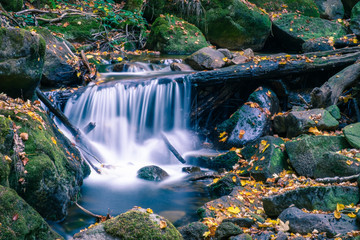 Naklejka na ściany i meble waterfall in forest