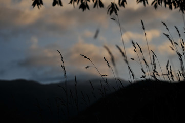 Abendrot