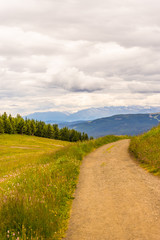 Alpe di Siusi, Seiser Alm with Sassolungo Langkofel Dolomite, a trekking walking winding path in a lush green field