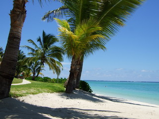 Strand Mauritius