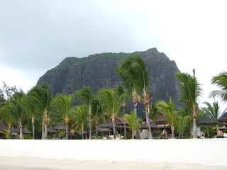 Le Morne Brabant Mauritius