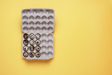 quail eggs in carton box on yellow background