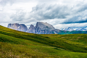 Alpe di Siusi, Seiser Alm with Sassolungo Langkofel Dolomite, a large green field with a mountain in the background