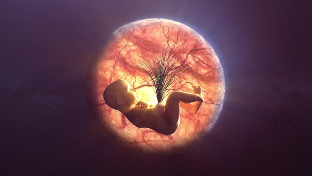 The composition of the baby in the womb of the planet earth in space. The concept of harmony between human and nature. Greenpeace