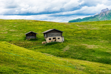 Fototapeta na wymiar Alpe di Siusi, Seiser Alm with Sassolungo Langkofel Dolomite, a large green field with a mountain in the background