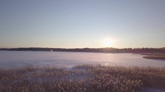 Flying over reed straws on a frozen swedish lake.
