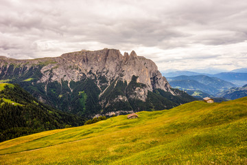Fototapeta premium Alpe di Siusi, Seiser Alm with Sassolungo Langkofel Dolomite, a large mountain in the background