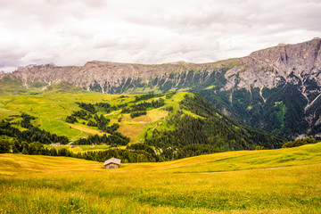 Fototapeta premium Alpe di Siusi, Seiser Alm with Sassolungo Langkofel Dolomite, a large green field with a mountain in the background